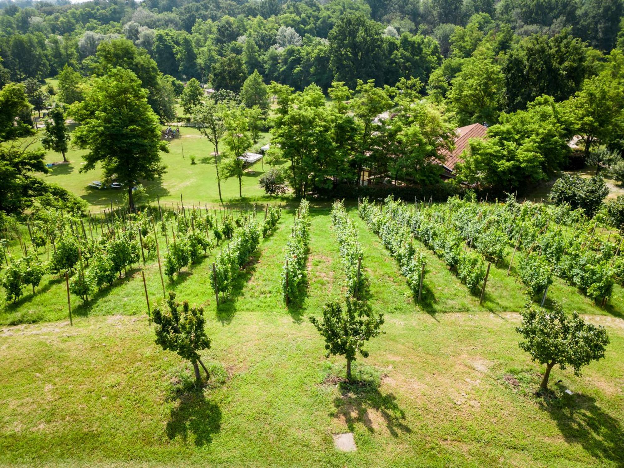 Agriturismo Campofelice Lombardore Esterno foto